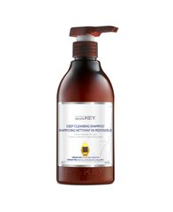 Шампунь Saryna Key Unique Pro Deep Cleansing для глибокого очищення жирної шкіри голови 1000мл