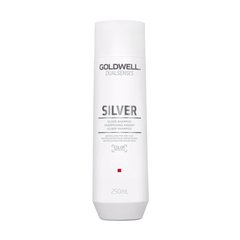 Шампунь Goldwell DSN Silver для осветлённых и седых волос 250 мл