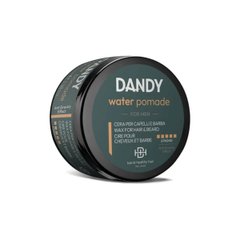 Воск для волос и бороды глянцевый Dandy Water Pomade Lisap 100 мл