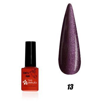 Гель-лак Котяче око №13 Nails Molekula 12 мл
