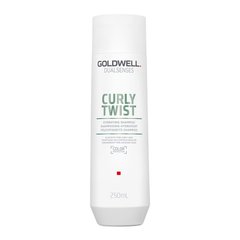 Шампунь Goldwell DSN Curly Twist для вьющихся волос 250 мл