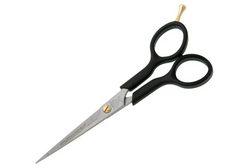 Ножиці для стрижки Kiepe Ergonomix Professional 6,0