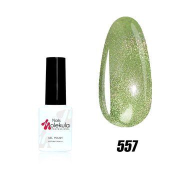 Гель-лак HOLOGRAPHIC №557 Nails Molekula 6 мл